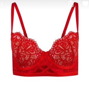 Adore Me Lace Bra